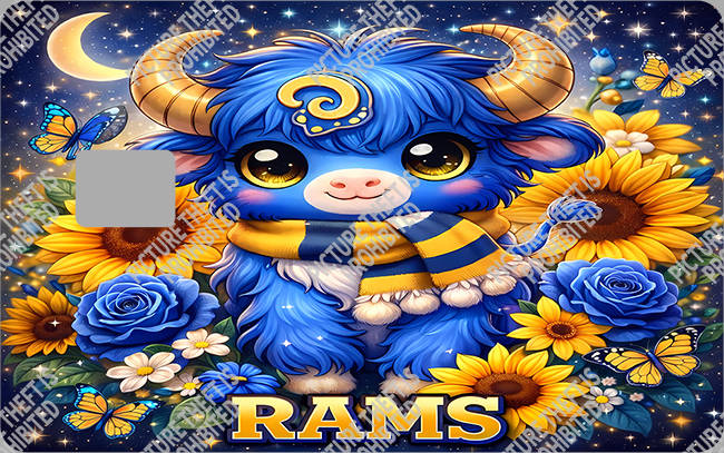 Bank  Card Sticker-BC-4035